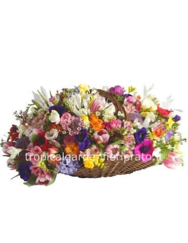 Cesto di fiori colorati