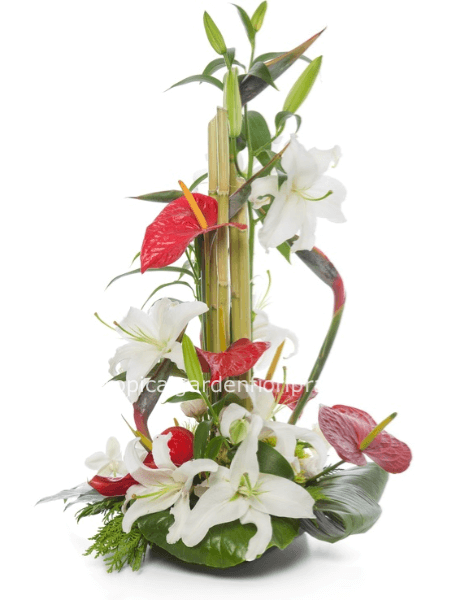 Composizione stilizzata