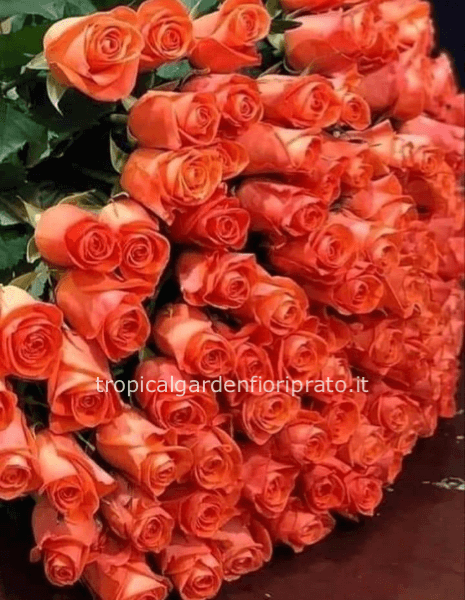 Rose extra gambo lungo colore arancio da comporre in mazzo per numero di steli.