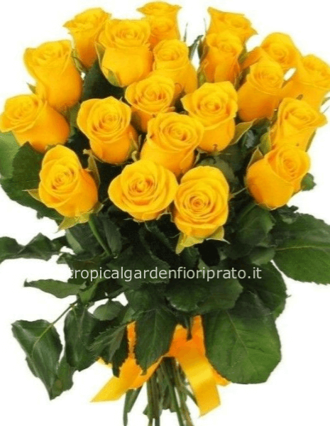 Rose gialle a gambo lungo da comporre in mazzo per numero di steli.