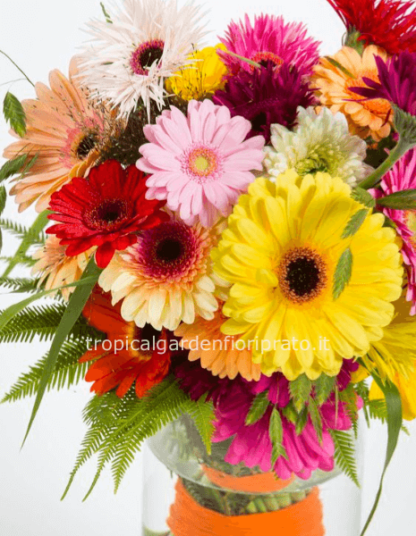 Bouquet di gerbere colori assortiti.