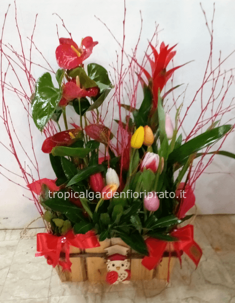 Composizione grande con piante, fiori freschi colorati e rami naturali