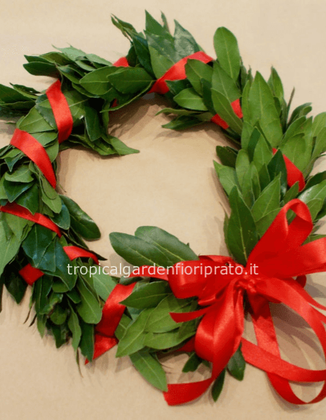 Coroncina con fiocco e nastro