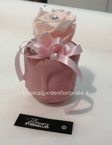 Rosa rosa XL stabilizzata con figura facce