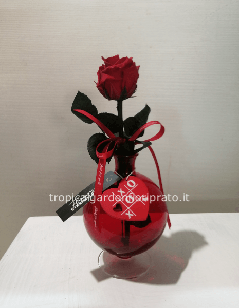 Rosa rossa stabilizzata lunga con vaso di vetro rosso altezza 35 cm