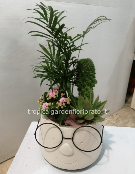 Composizione piante con figura occhiali