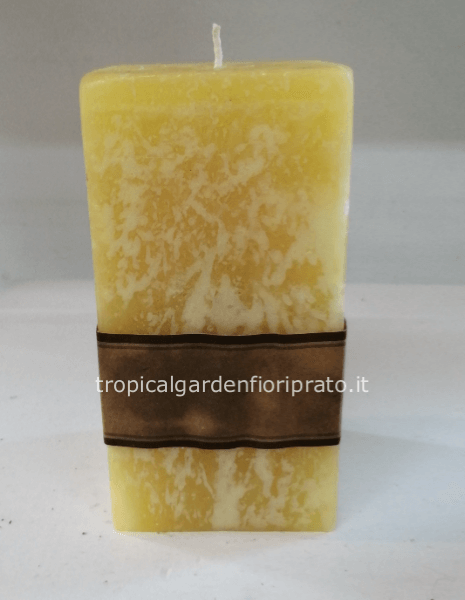 Candela rustica