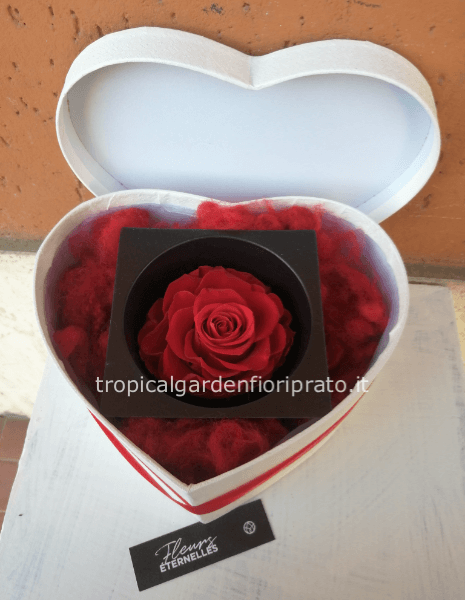 Rosa rossa xxl stabilizzata e profumata, nel cuore o cappelliera