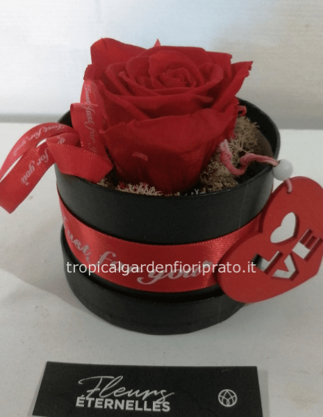 Rosa rossa XL stabilizzata con scatola tonda e cuoricino