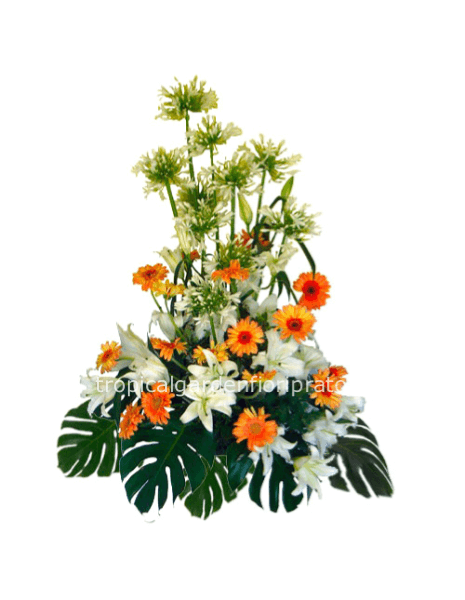 Composizione essenziale fiori di stagione arancio e bianchi