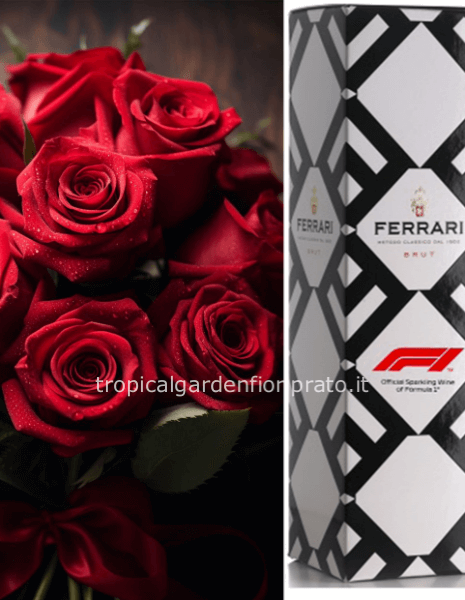 Rose rosse a gambo lungo e bottiglia Ferrari Deluxe