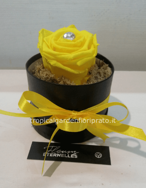 Rosa gialla XL stabilizzata con scatola tonda e diamante