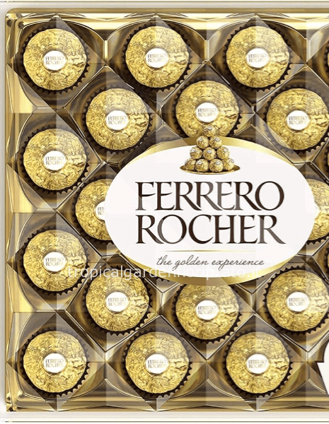 Scatola di cioccolatini Ferrero Rocher