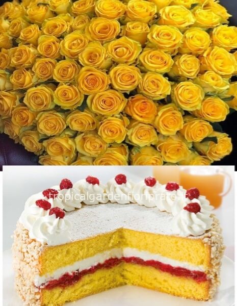 Rose  e torta alla crema con pan di Spagna