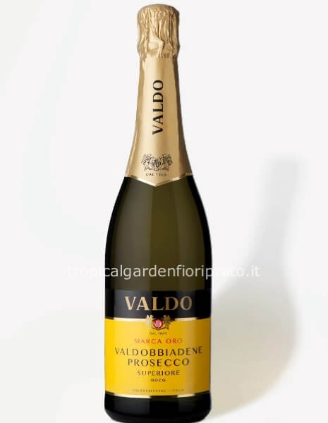 Prosecco Valdobbiadene