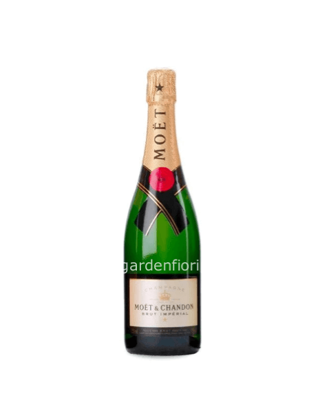 Champagne Moet
