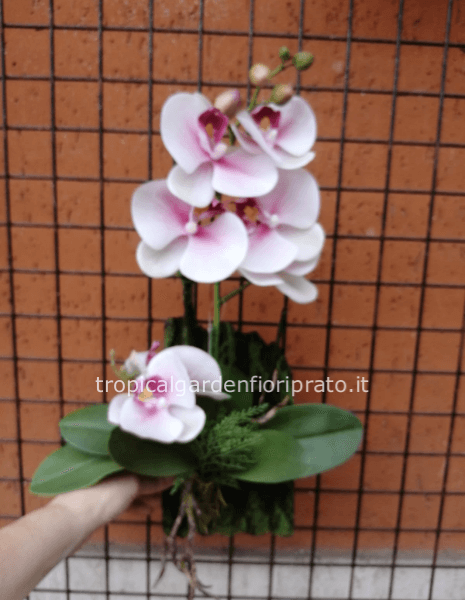 Orchidea artificiale da appendere su base naturale