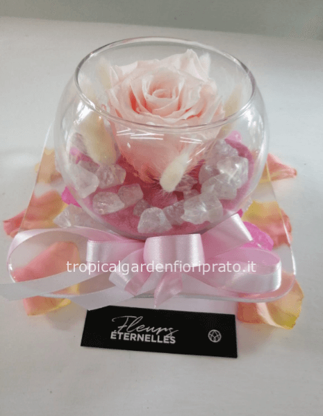 Rosa rosa stabilizzata con vaso e piattino di vetro