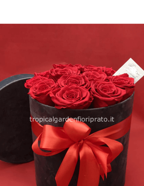 3 Rose Rosse xl Stabilizzate con scatola diametro 13,50 cm