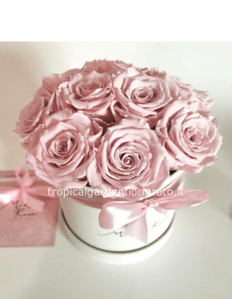 3 Rose Rosa xl Stabilizzate con scatola diametro 13,50 cm