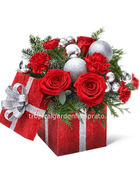 Fiori natalizi con scatola