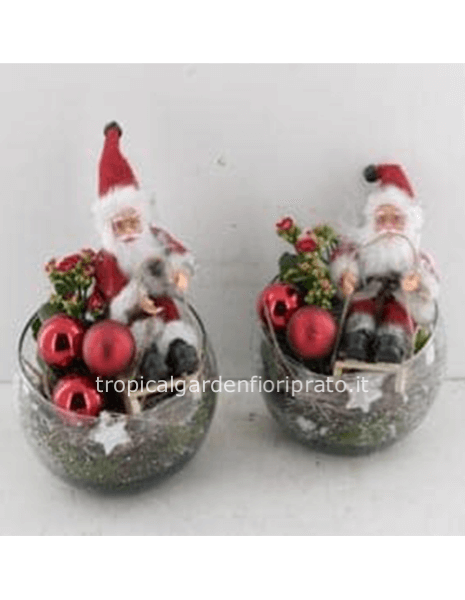 Composizione di piante natalizia con elementi naturali