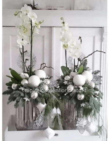 	 Composizione natalizia con orchidea e vaso in argento