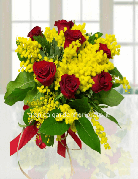 Bouquet di 7 rose rosse con mimosa