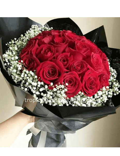 Mazzo compatto con rose rosse boccio grande e gypsofila