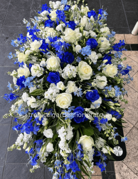 Copricassa bianco e blu