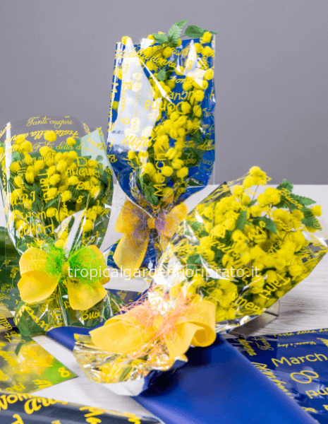 3 sacchetti di mimosa 43 cm