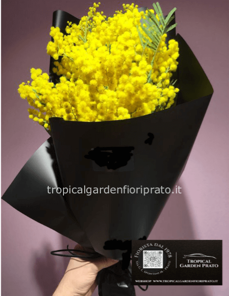 Mazzo  grande di  mimosa con carta nera