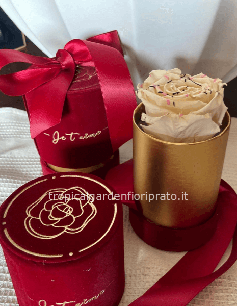 Cofanetto in velluto con rosa champagne stabilizzata