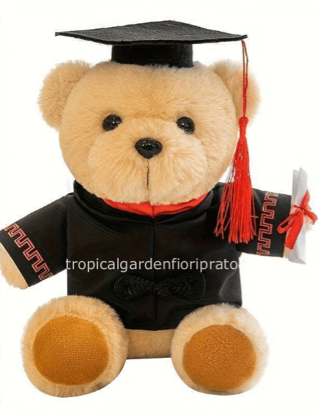 Peluche laurea