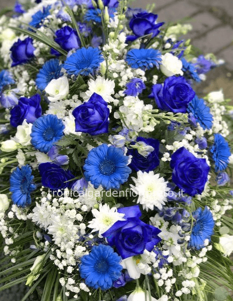 Cuscino essenziale bianco e blu