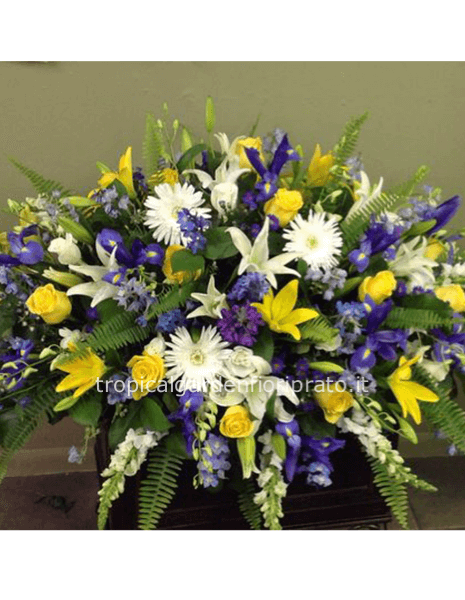 Cuscino essenziale bianco, blu e giallo