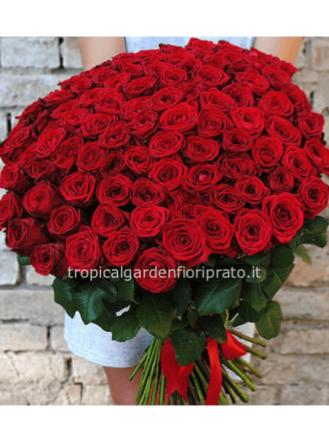 100 rose rosse a gambo lungo