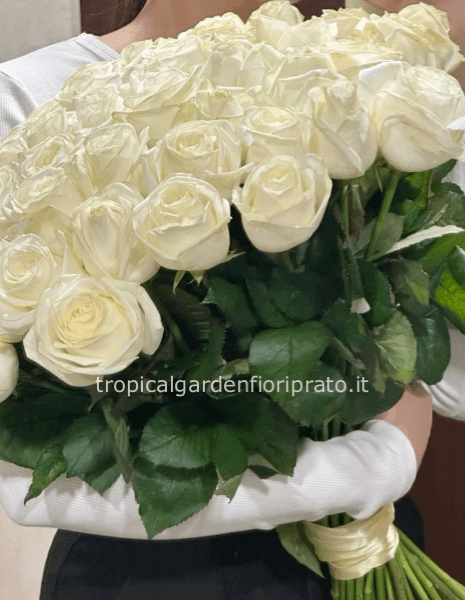 50 rose bianche 60 cm