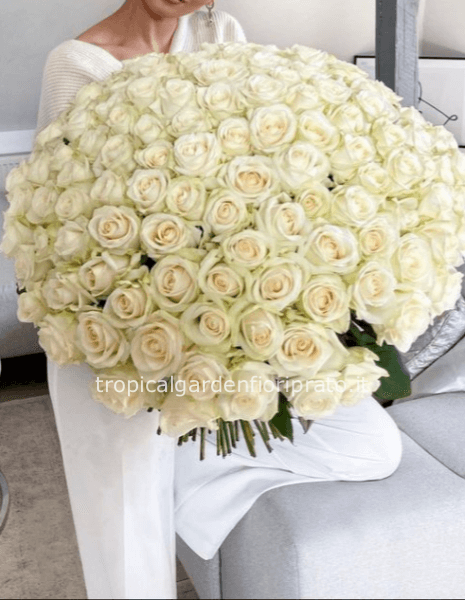 100 rose bianche a gambo lungo