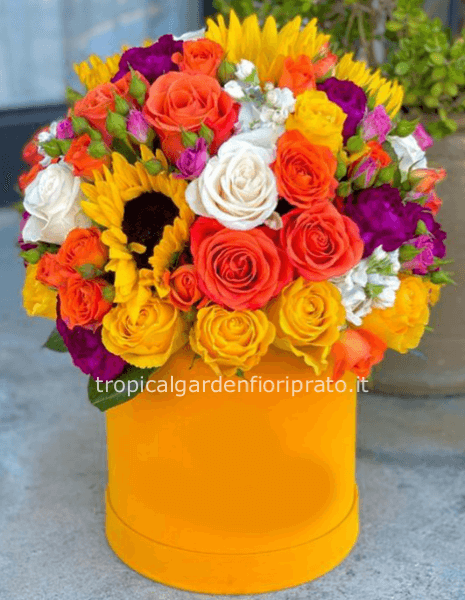 Box essenziale con fiori misti solari, diametro 20 cm