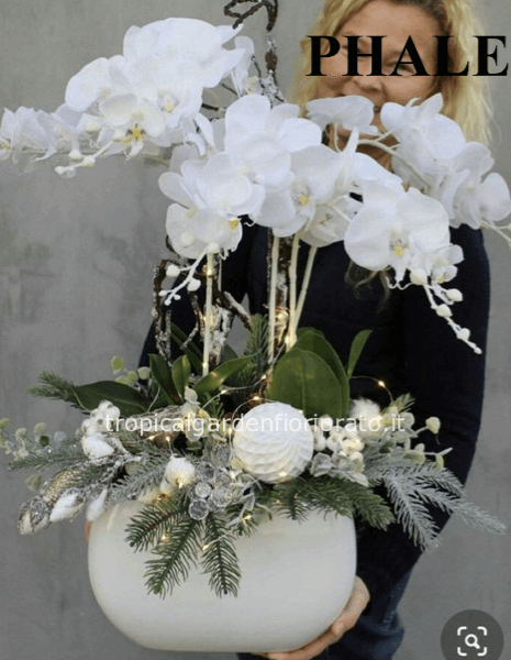 Orchidea con vaso ceramica di buone feste