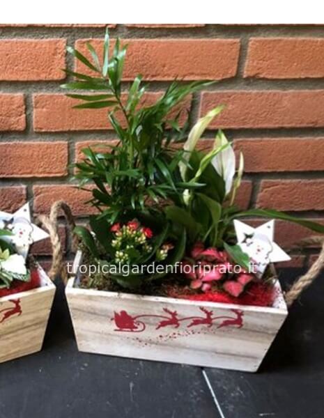 Composizione natalizia essenziale e di buone feste con cassetta