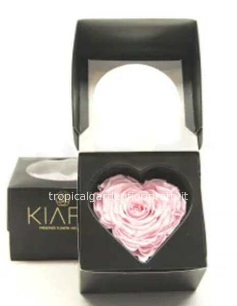 Rosa rosa a cuore stabilizzata con scatola nera