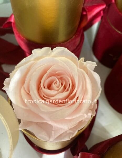 Cofanetto in velluto con rosa rosa stabilizzata