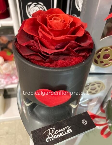 	 Rosa rossa xxl con vaso in ceramica trendy e cuoricino