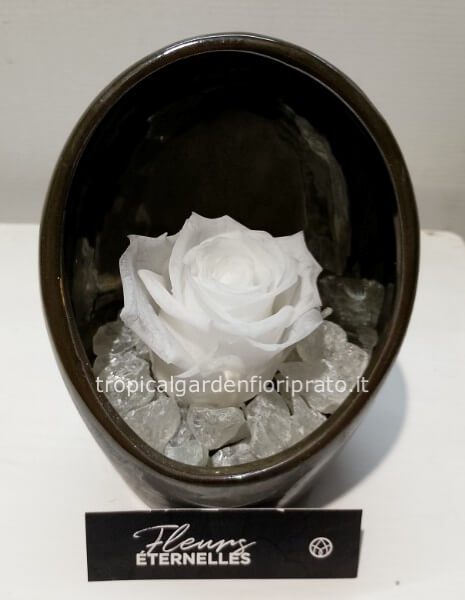 Rosa bianca stabilizzata in vaso di ceramica