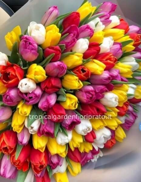 Bouquet 50 tulipani multicolor