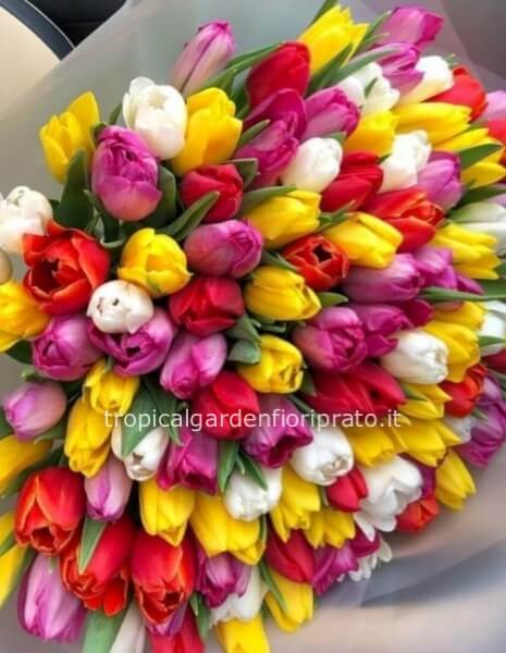 Bouquet 100 tulipani multicolor