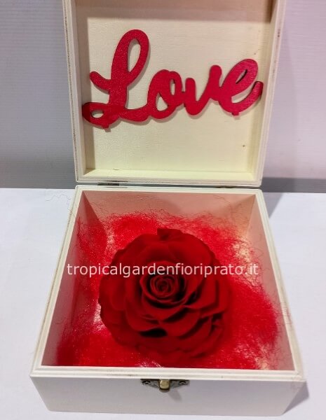 Rosa rossa stabilizzata xxl con scatola di legno 16 x16 cm