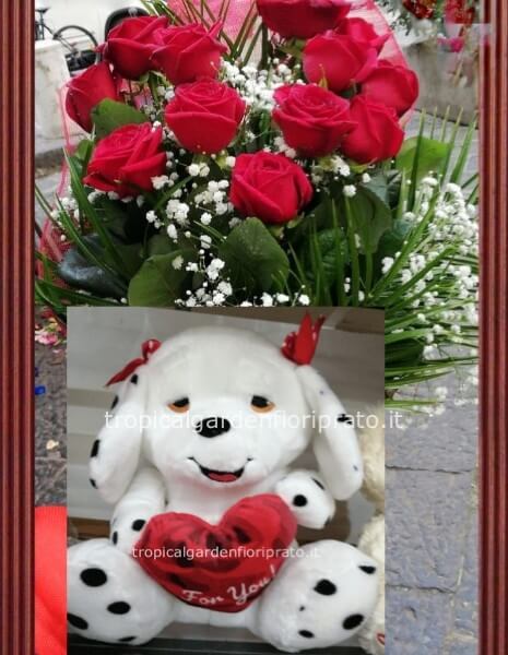 Set 7 rose rosse gambo lungo e boccio grande con peluche cane dalmata h 40 cm